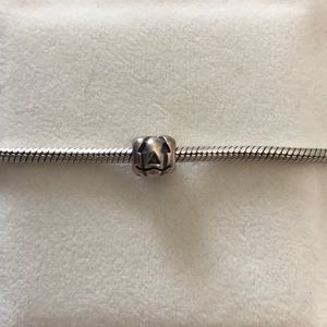 Pandora charm